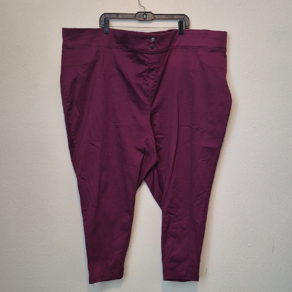 Terra & Sky Burgundy Skinny Mid Rise Jeggings